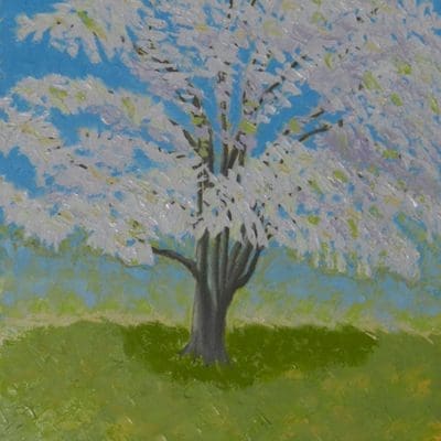 Burst of Spring