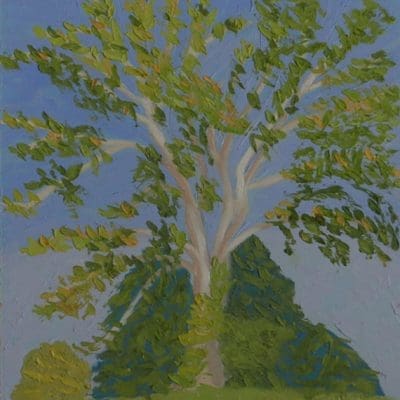 Tree of Kindness